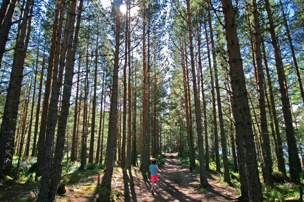 Tigh Na Lochan Aviemore Bagian luar foto